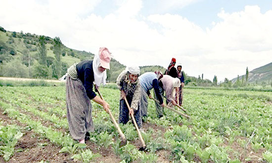 Kırsaldaki kadınlara bakanlık desteği