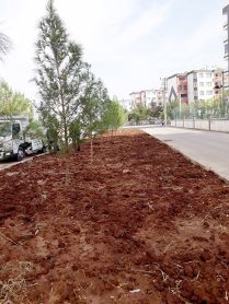 Bağlar farklı yeşillenecek?