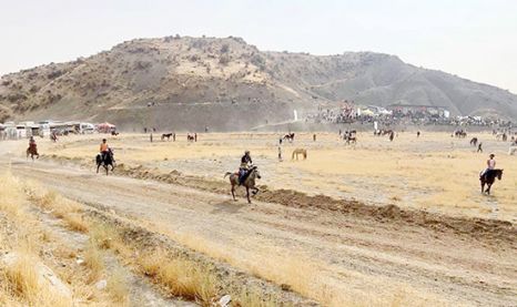 Mardin'de rahvan atları yarıştı 