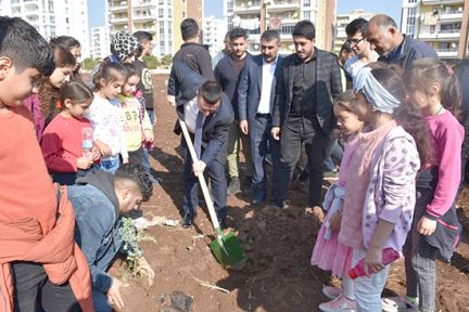 Yeşil Bağlar'a fidanlar dikildi