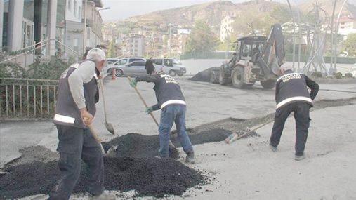 Kalkınmaya yönelik proje