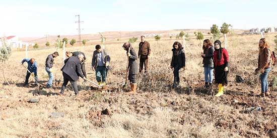 Sur’da Kadın Yaşam Ormanı'na yeni fidanlar dikildi