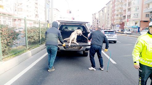 Polisin şefkati!