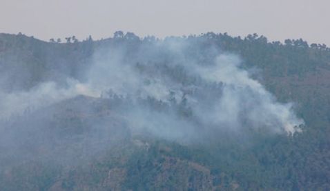 PKK'nın yangın yalanı ortaya çıktı