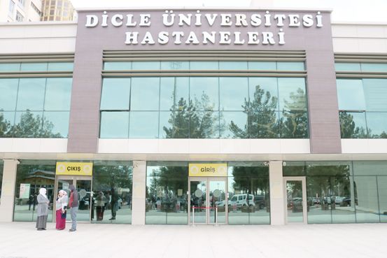 Diyarbakır'da domuz gribinden bir kişi hayatını kaybetti