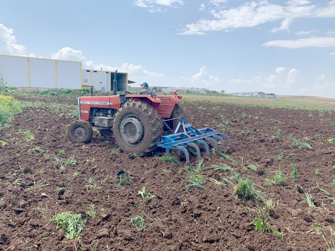 Tarlanın yolunu tuttular