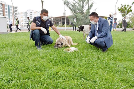 Başkan yem bıraktı