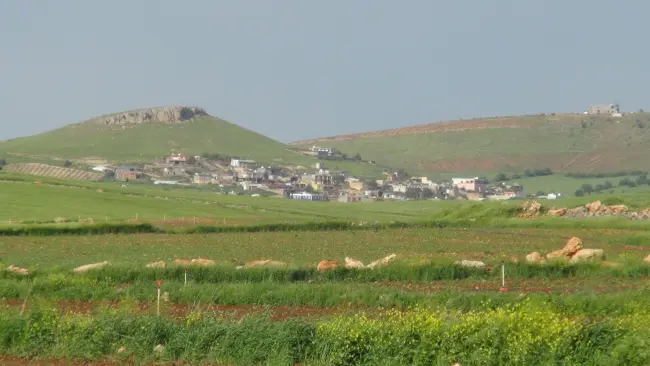 Son Dakika! Diyarbakır'da bir mahalle karantinaya alındı