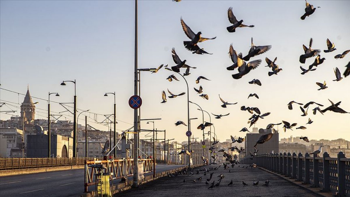 Ramazan Bayramı sokağa çıkma yasağı başladı! Yasakta nereler açık olacak?