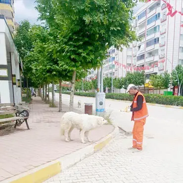 Sokak hayvanları unutulmadı