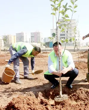 Çevre dostu belediye