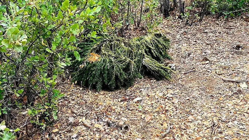 Diyarbakır’da 1 ton 418 kilogram esrar ele geçirildi