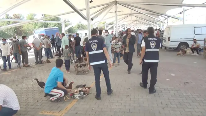 Kuş pazarı, virüs tedbirleri unutulunca boşaltıldı