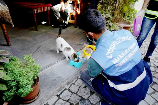 Sokak Hayvanlarını Unutmadı