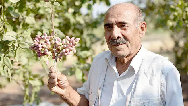 Yarım asır önce ilk fidanı dikti!