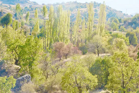 Namazdağında huzur olunca!