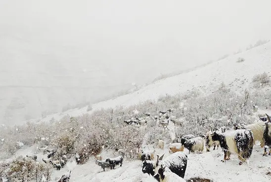 Kar yağdı dağda mahsur kaldılar