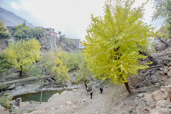 Çüngüş bu mevsimde bir başka güzel