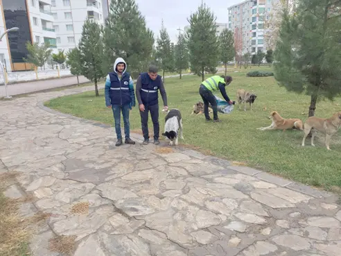 Sokak Hayvanlarını Unutmadı