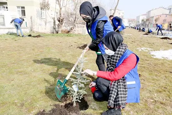 41 kişi için 41 bin fidan