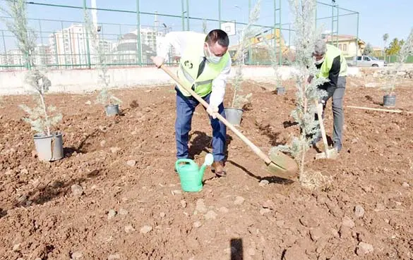 Bağlar 22 ayda değişti