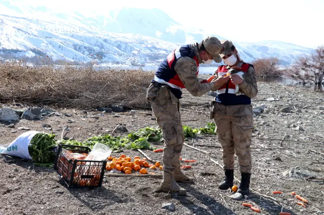 Uzun kulaklı sakinler!