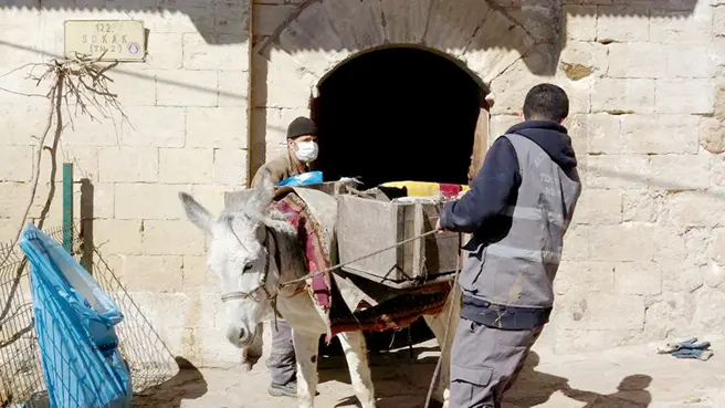 'Kadrolu eşekleri' iş başında