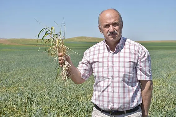 Tarlayı tankerle suluyor!