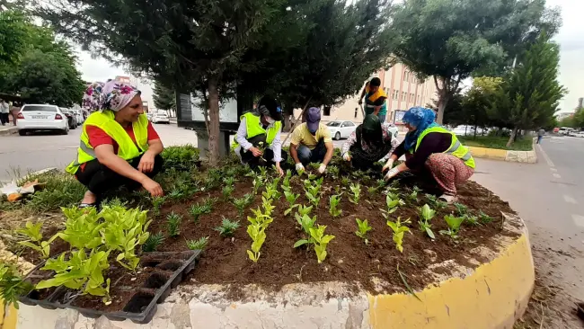 6 bin 500 çiçek ekildi