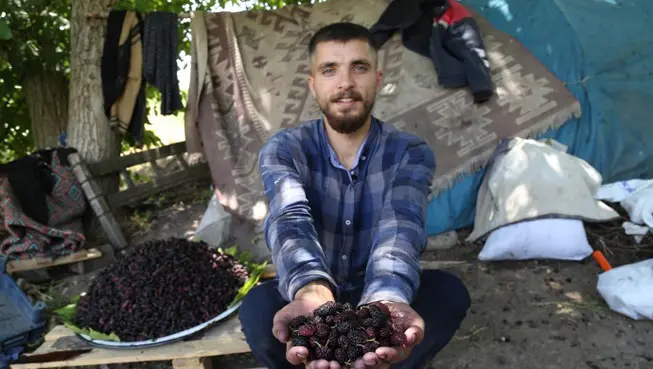 Hevsel Bahçelerinin dutları pazarda