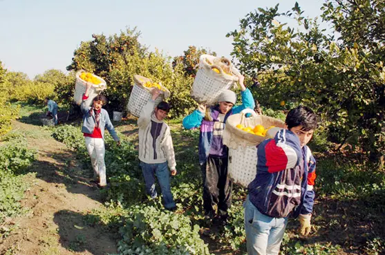 2 milyon çocuk işçi