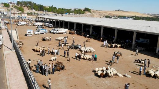 Beklenen hareketlilik yaşanmıyor 