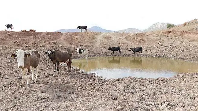 Besici yağış bekliyor