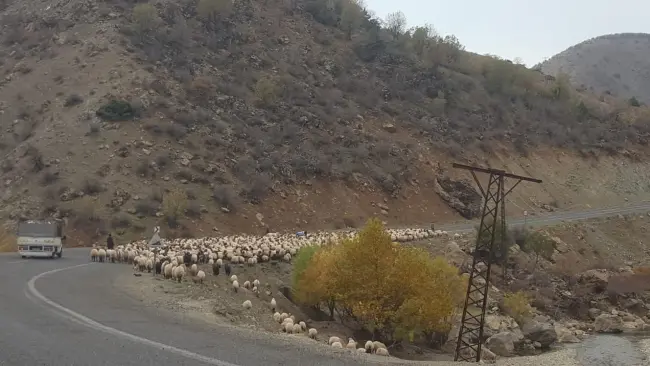 Göçerlerin zorlu yolculuğu başladı