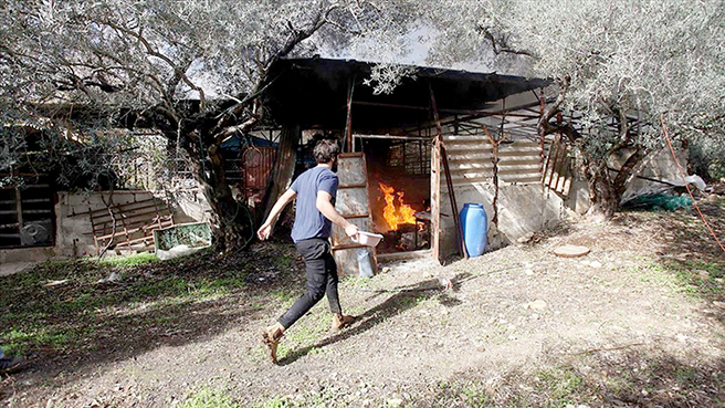 Batı Şeria'da köyleri basan Yahudi yerleşimciler Filistinlilerin mülklerine zarar verdi