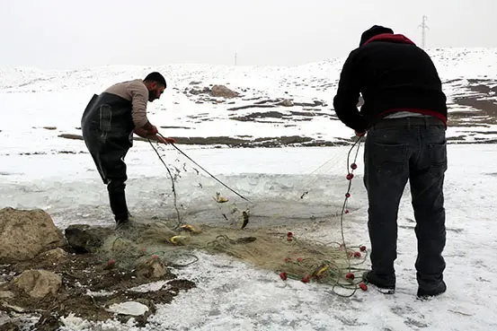 Donan derede Eskimo usulü balık avı