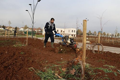 Vizyon projeden bağ evi açılıyor