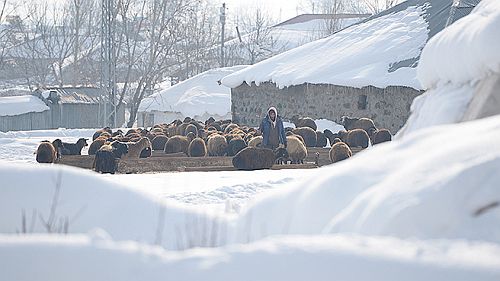 Besicilerin zorlu sınavı