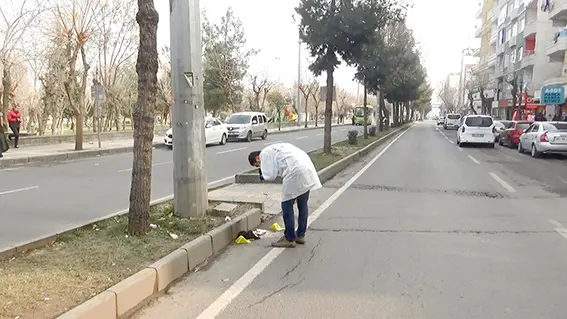 Suriyeli Heysan, parkta yürürken bıçaklandı 