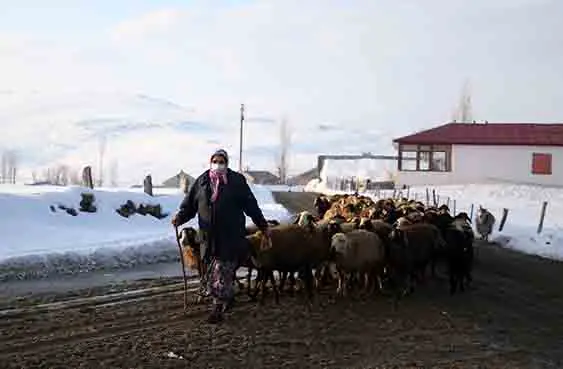 Hayatın yükünü omuzluyor!