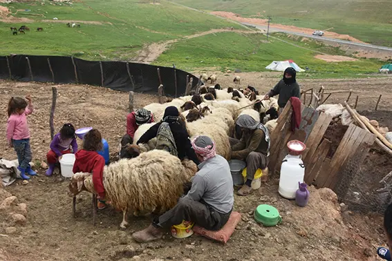 Göçerlerin zorlu yolculuğu başladı