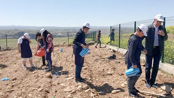 Sebze hasadı yaptılar