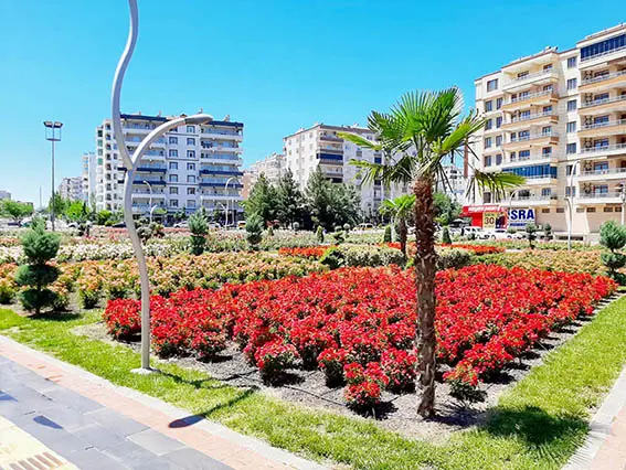 Huzurun tadı! Gül parkımız!