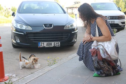 Fobisini yendi sevgi kazandı