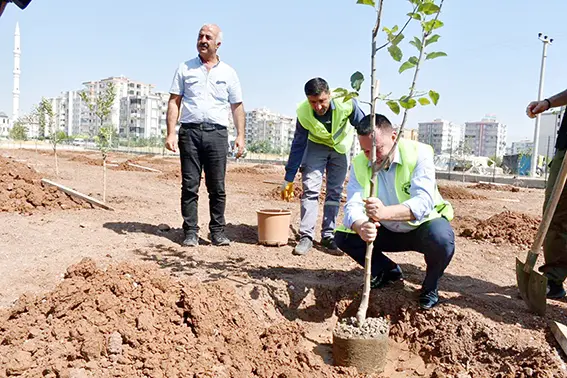 Kent içi tarım meyve verdi!