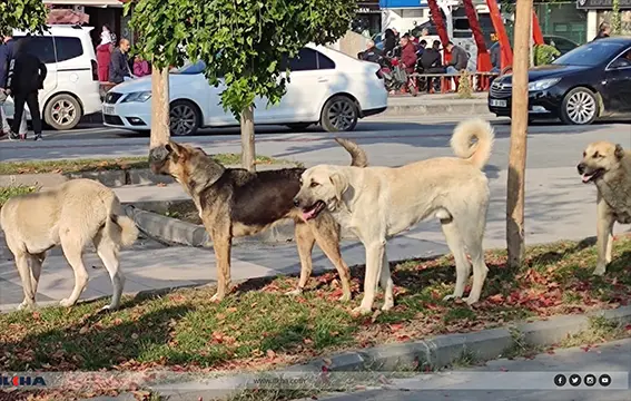 Tehdit oluşturuyor