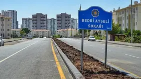 Ayseli ismi sokağa verildi