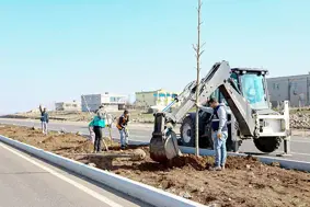 Diyarbakır'da Prof. Dr. Necmettin Erbakan Bulvarı'na 1700 ağaç dikildi