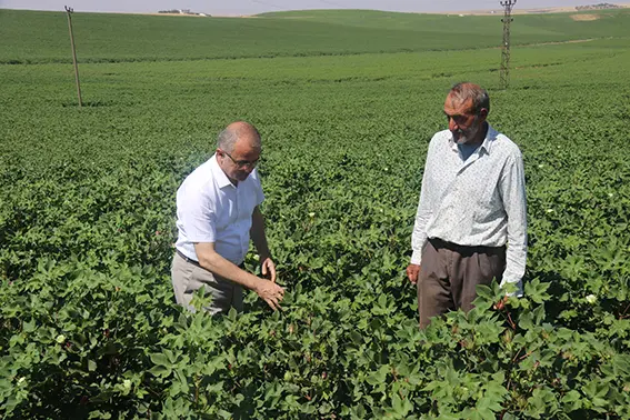 Anız yangını uyarısı geldi