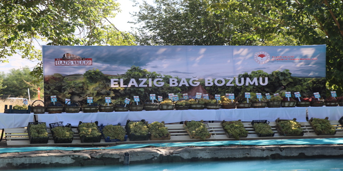 Geleneksel Üzüm Festivali ve Bağ Bozumu